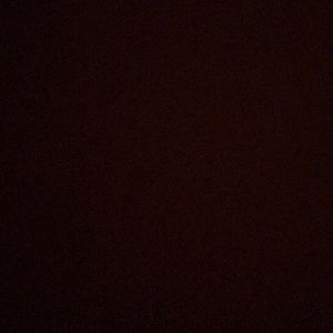 Meet your Posher, Tony